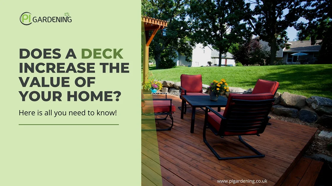 Does a Deck Increase The Home Value - PI Gardening