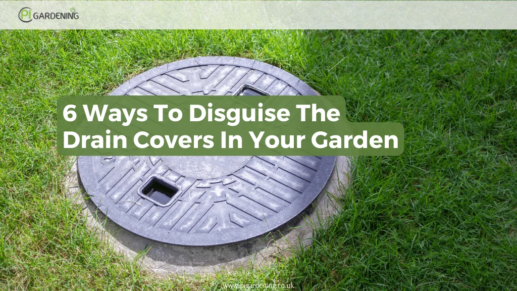 Garden Drain Covers: 6 Clever Disguise Ideas - PI Gardening