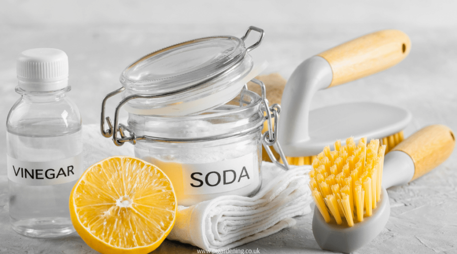 soda soda