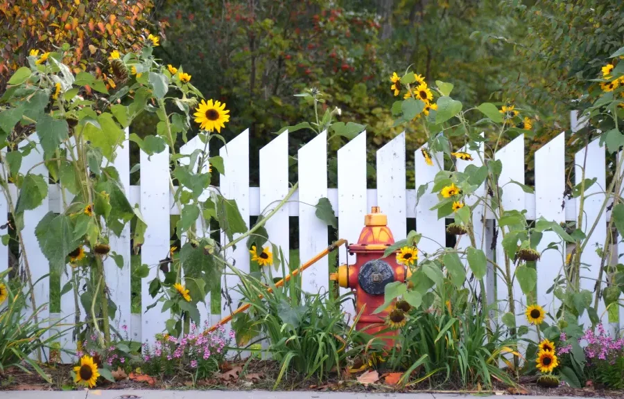 Tricks to expand garden using fence paint