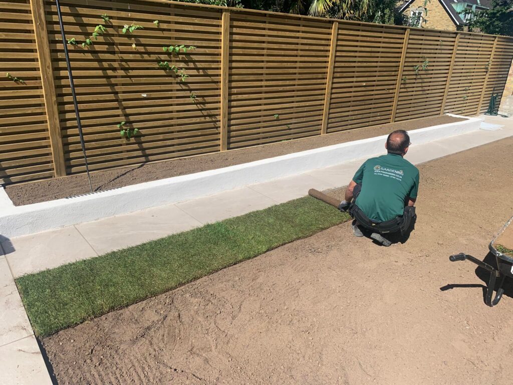 Laying grass turfing