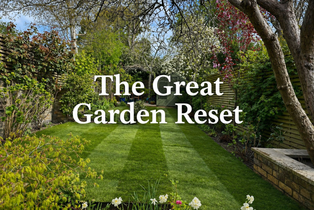 Landscaped London garden with striped green lawn, mature trees, flowering borders, timber fencing